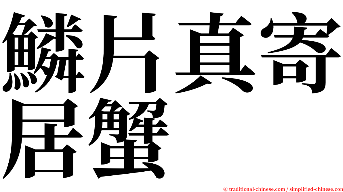 鱗片真寄居蟹 serif font