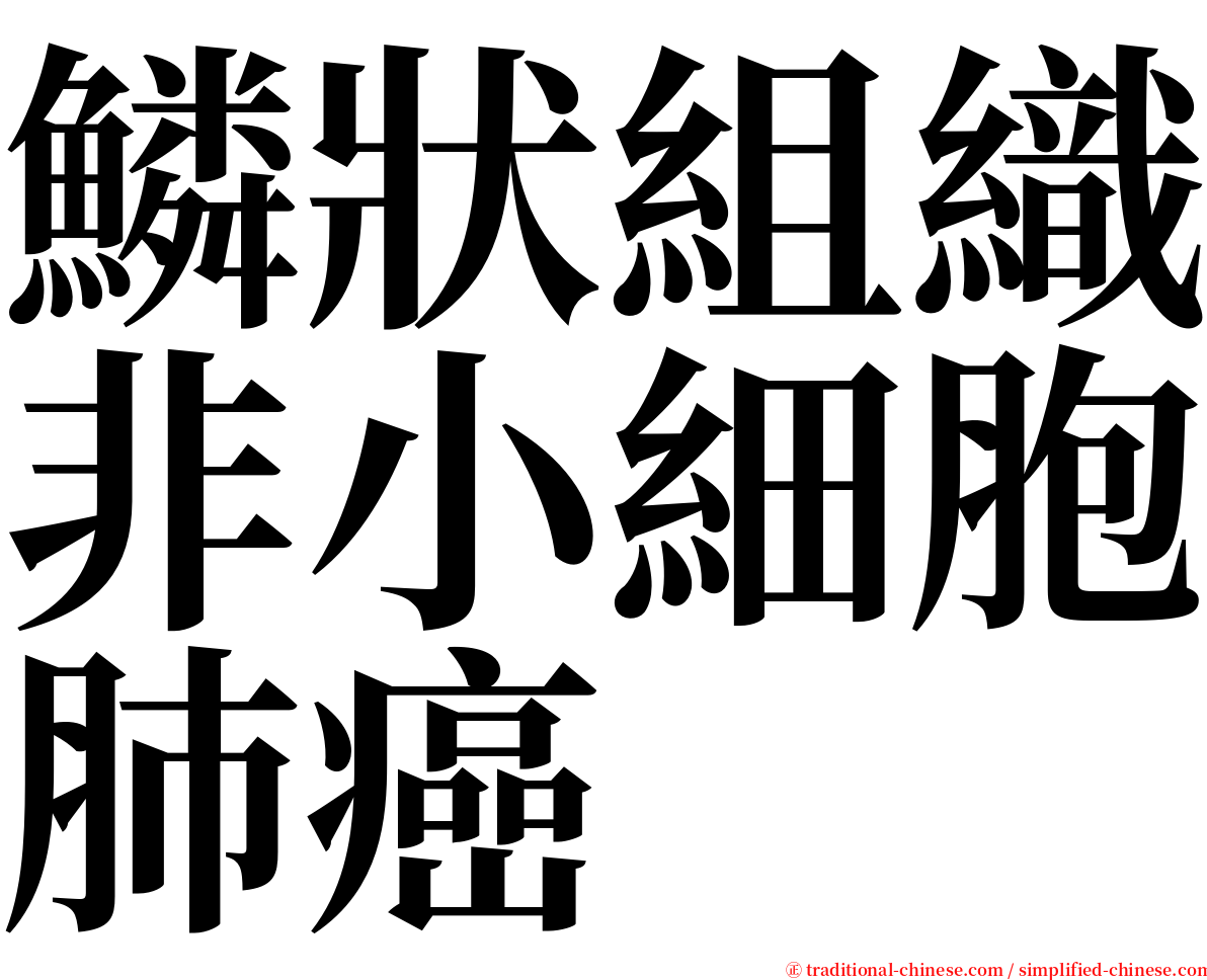 鱗狀組織非小細胞肺癌 serif font