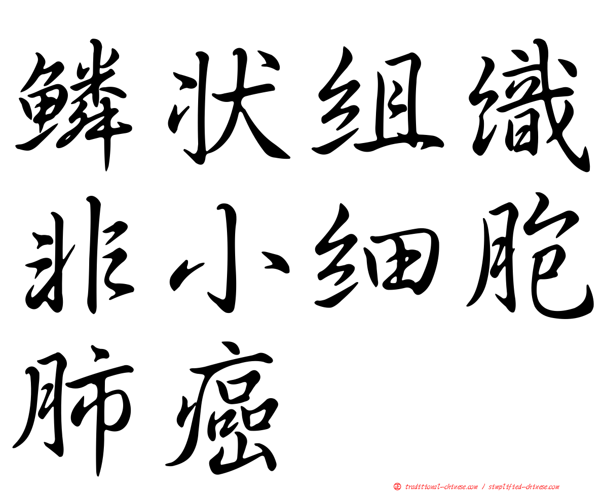 鱗狀組織非小細胞肺癌