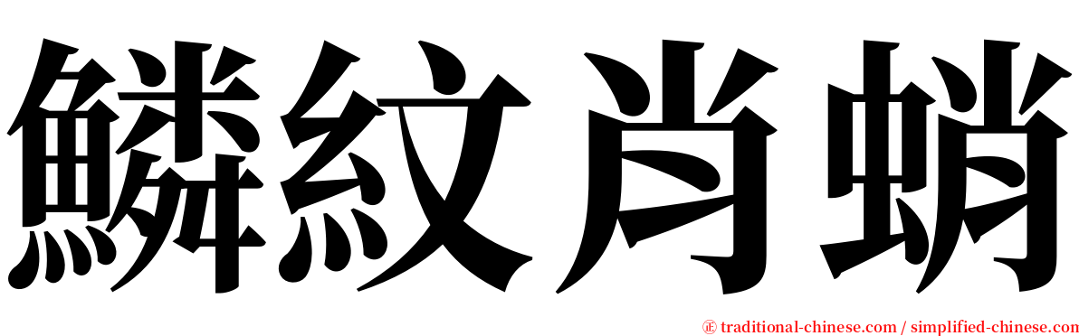 鱗紋肖蛸 serif font