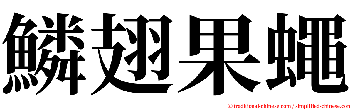 鱗翅果蠅 serif font