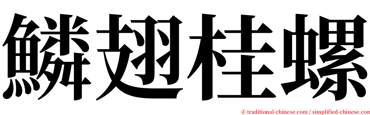 鱗翅桂螺 serif font