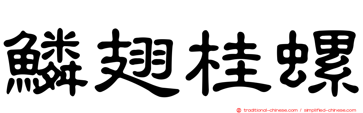 鱗翅桂螺