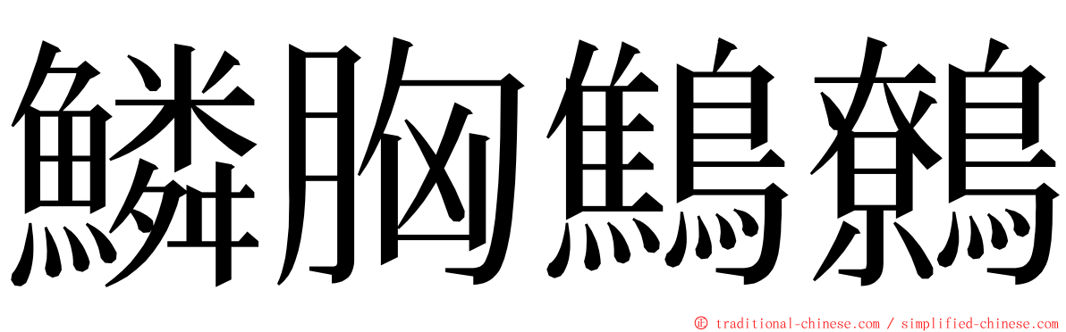 鱗胸鷦鷯 ming font