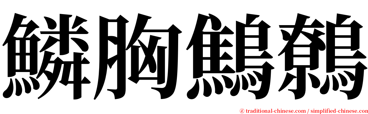 鱗胸鷦鷯 serif font