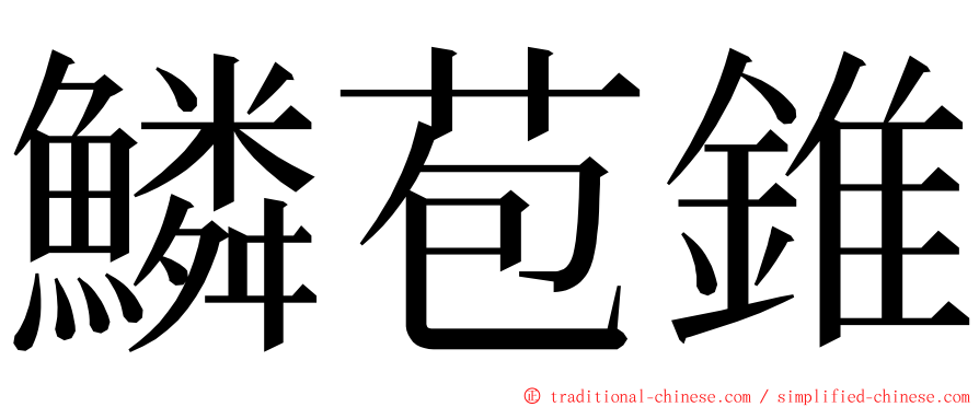 鱗苞錐 ming font