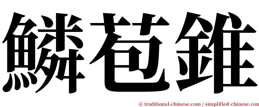 鱗苞錐 serif font