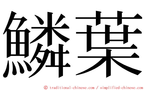 鱗葉 ming font