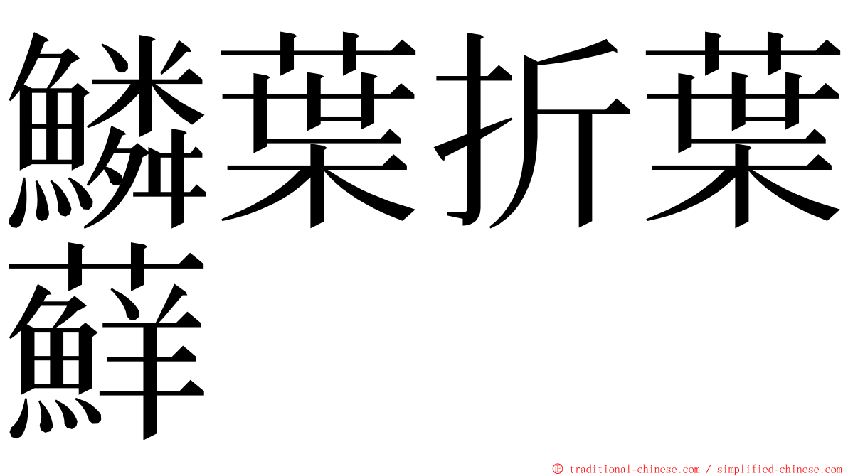 鱗葉折葉蘚 ming font