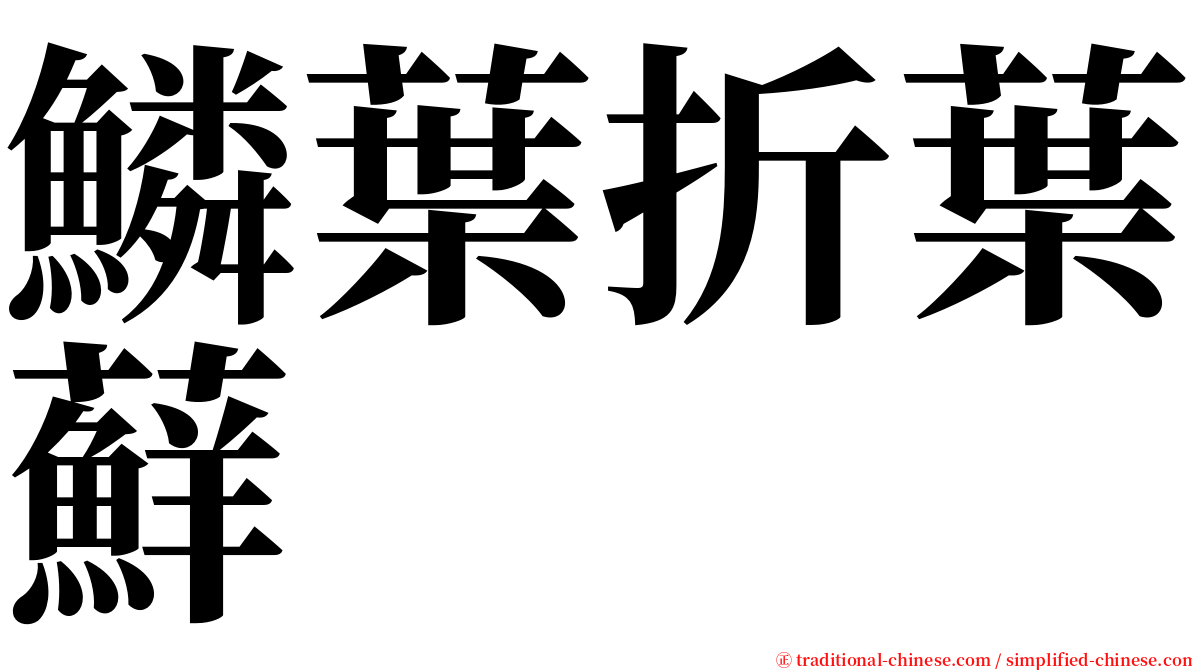 鱗葉折葉蘚 serif font