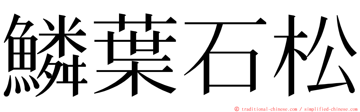 鱗葉石松 ming font