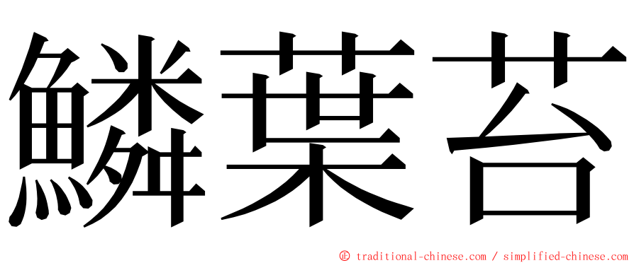 鱗葉苔 ming font