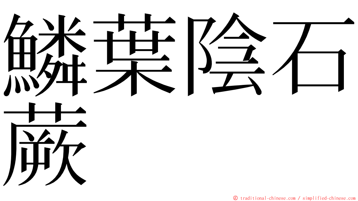 鱗葉陰石蕨 ming font