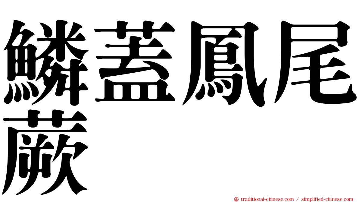 鱗蓋鳳尾蕨