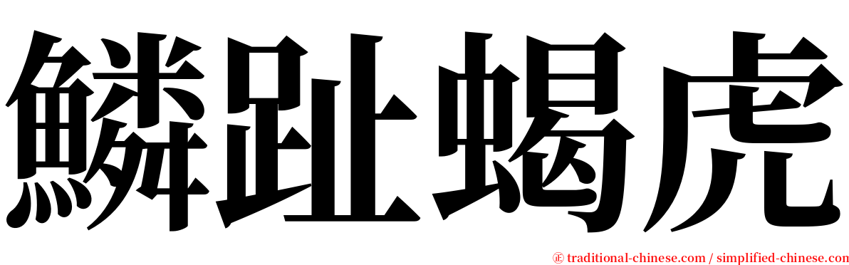 鱗趾蝎虎 serif font