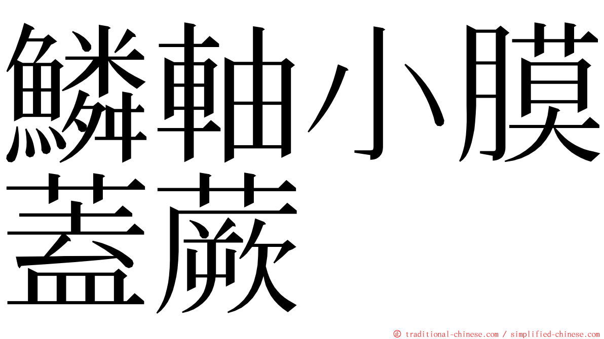 鱗軸小膜蓋蕨 ming font