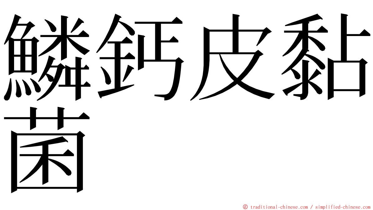 鱗鈣皮黏菌 ming font