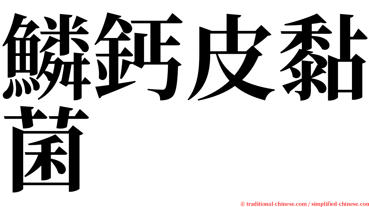 鱗鈣皮黏菌 serif font