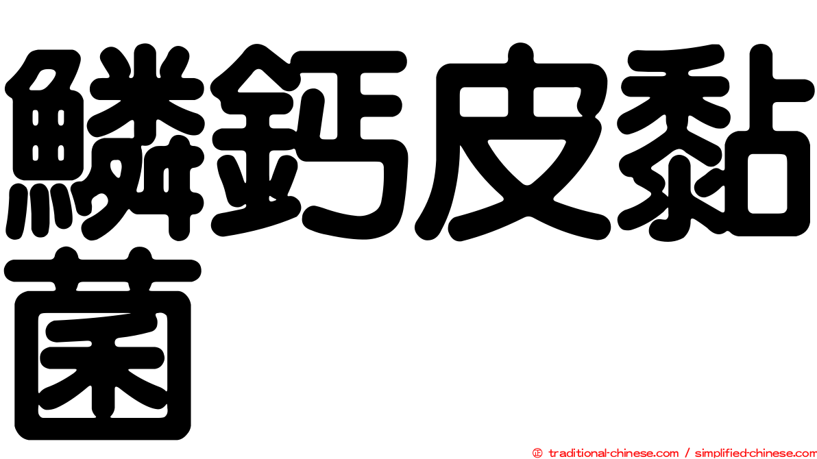 鱗鈣皮黏菌