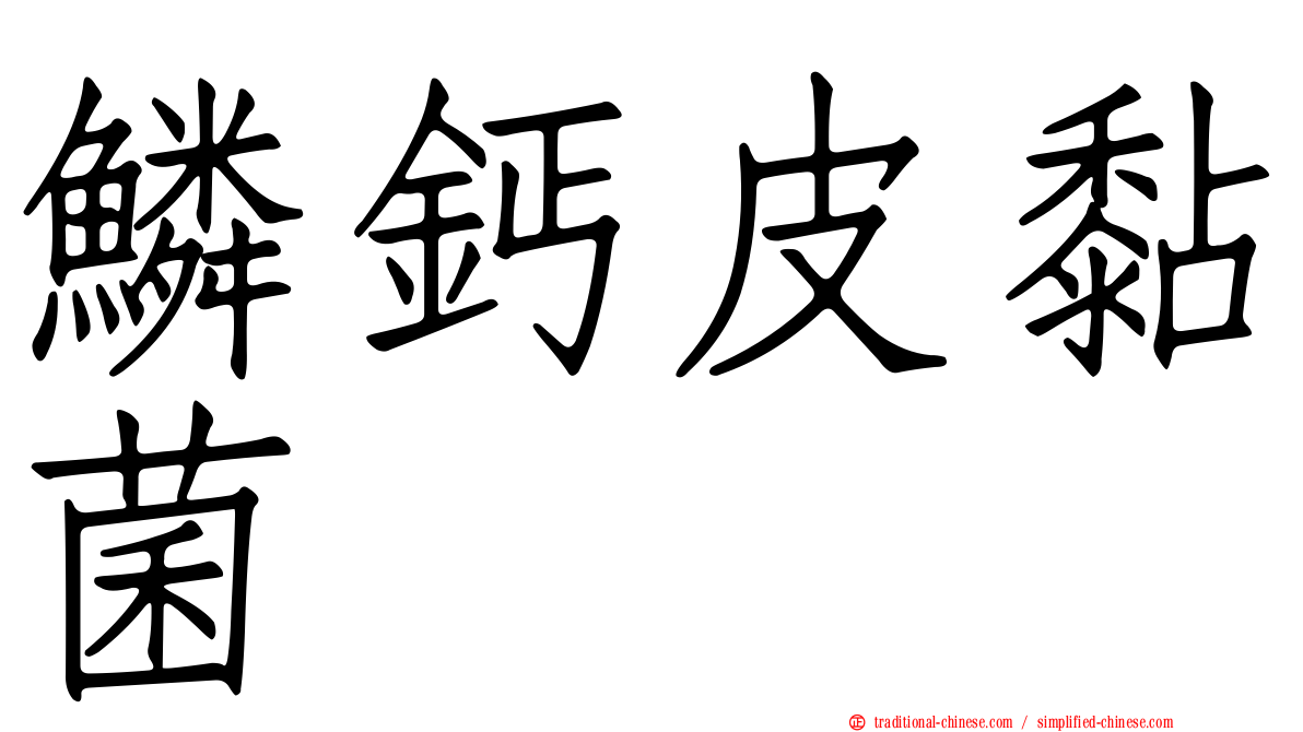 鱗鈣皮黏菌