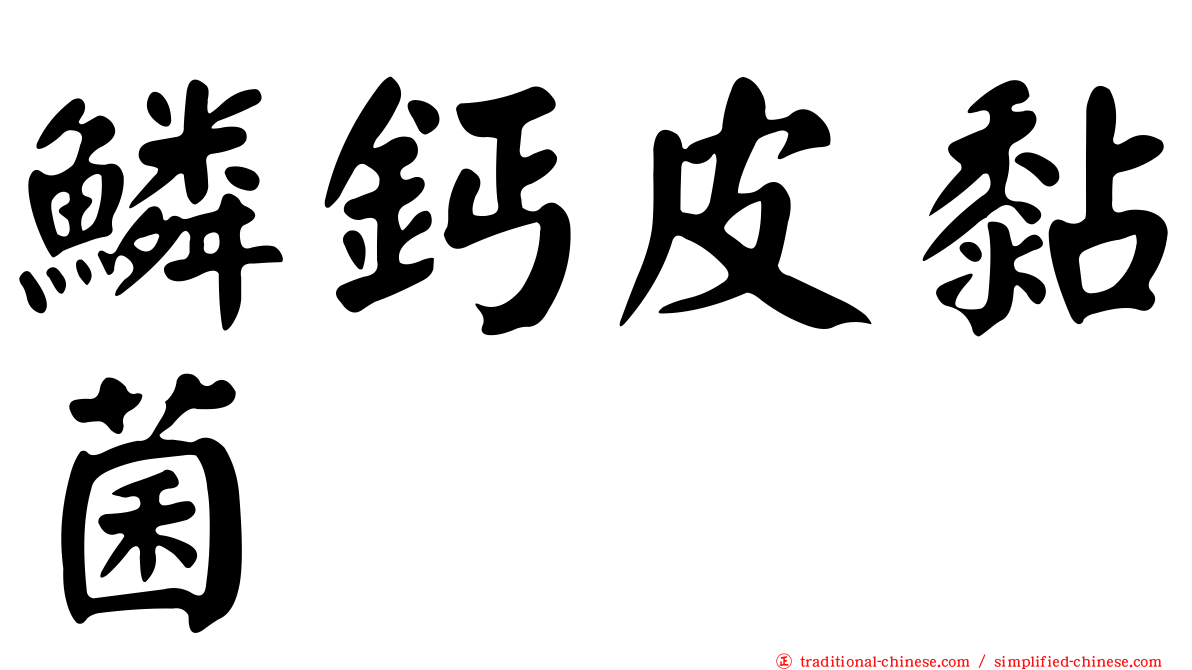 鱗鈣皮黏菌