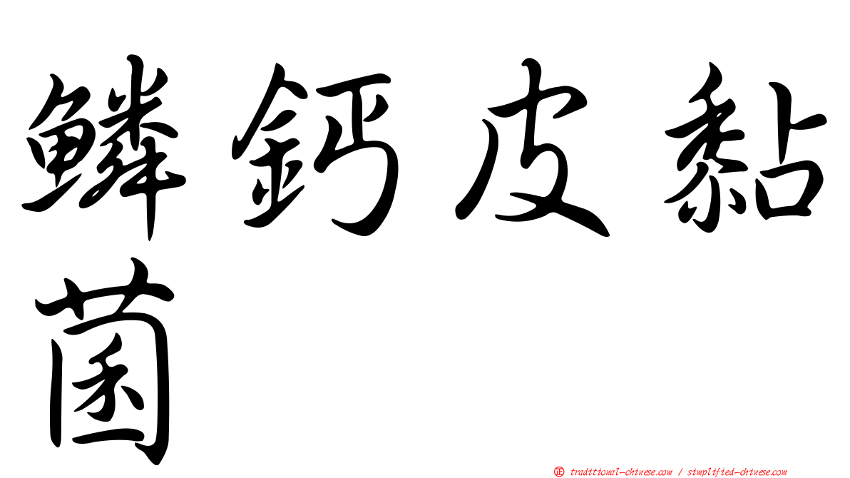 鱗鈣皮黏菌