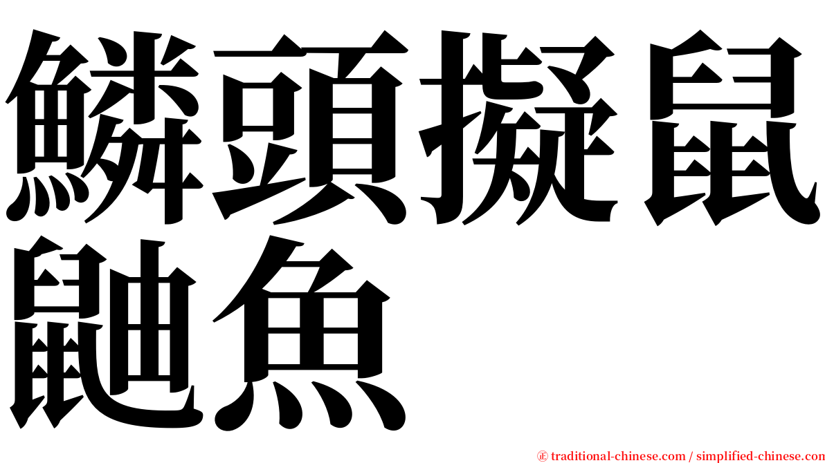 鱗頭擬鼠鼬魚 serif font