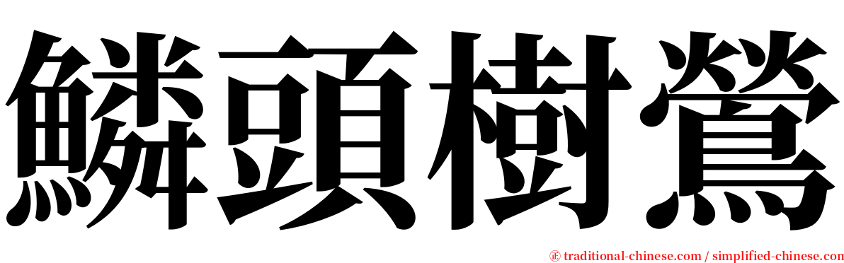 鱗頭樹鶯 serif font