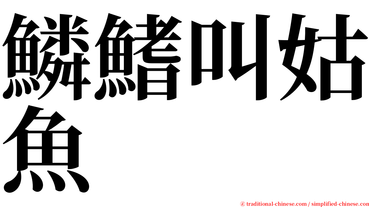 鱗鰭叫姑魚 serif font