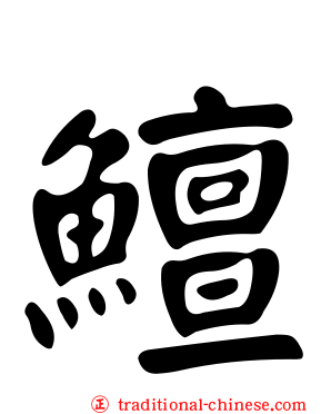 鱣