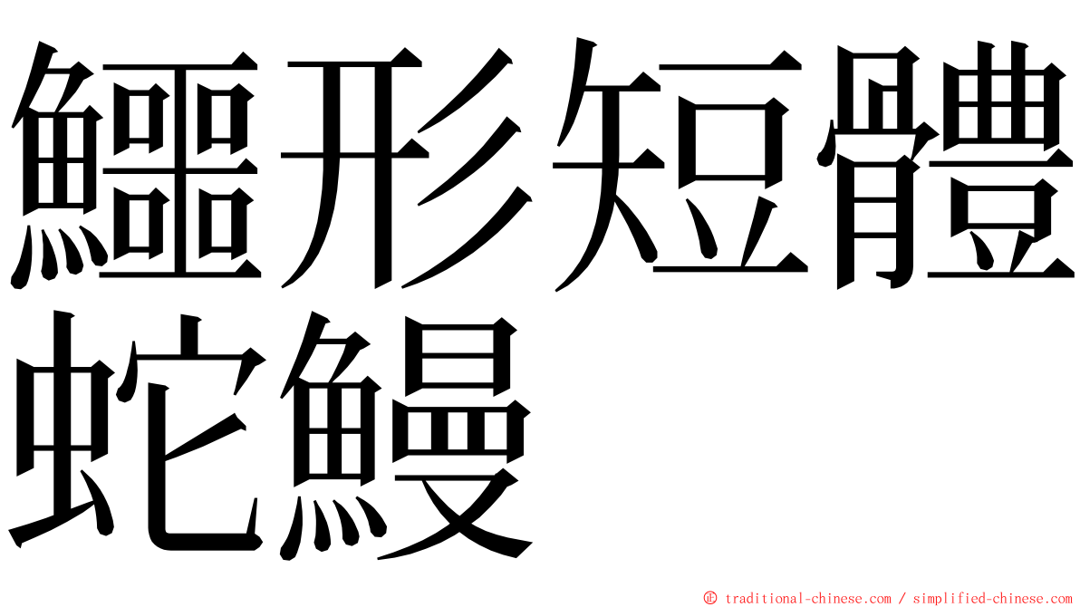 鱷形短體蛇鰻 ming font