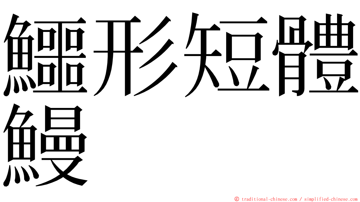 鱷形短體鰻 ming font
