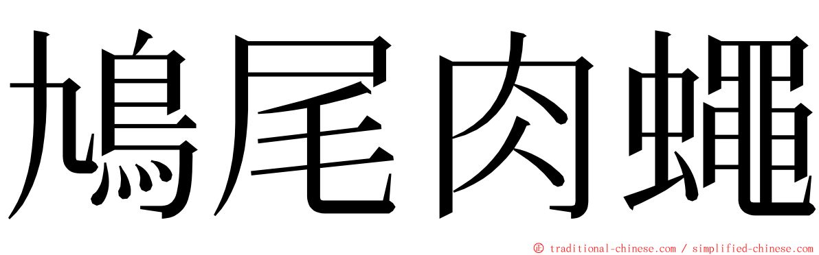 鳩尾肉蠅 ming font