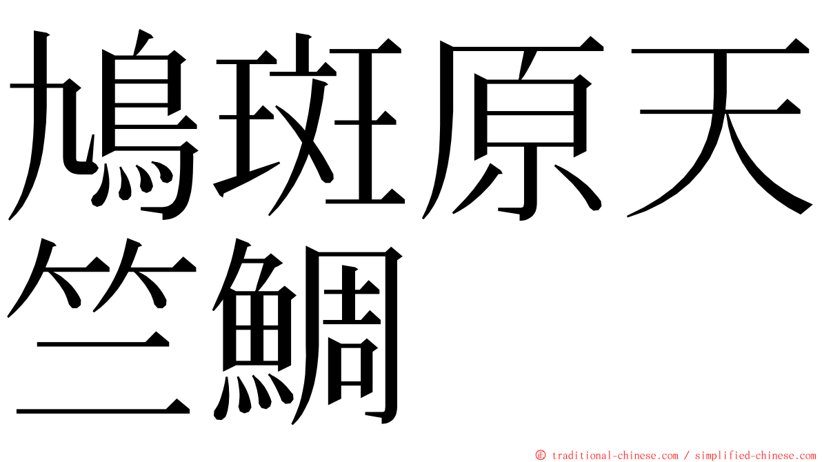 鳩斑原天竺鯛 ming font