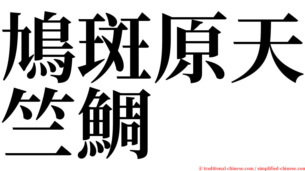 鳩斑原天竺鯛 serif font
