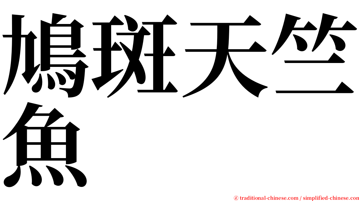 鳩斑天竺魚 serif font