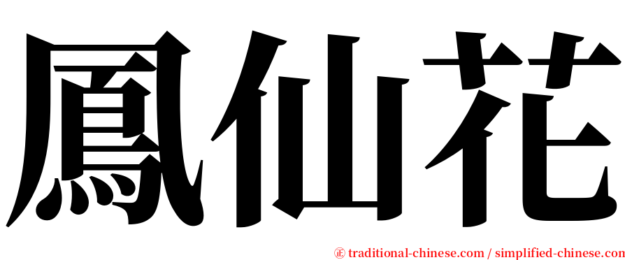 鳳仙花 serif font