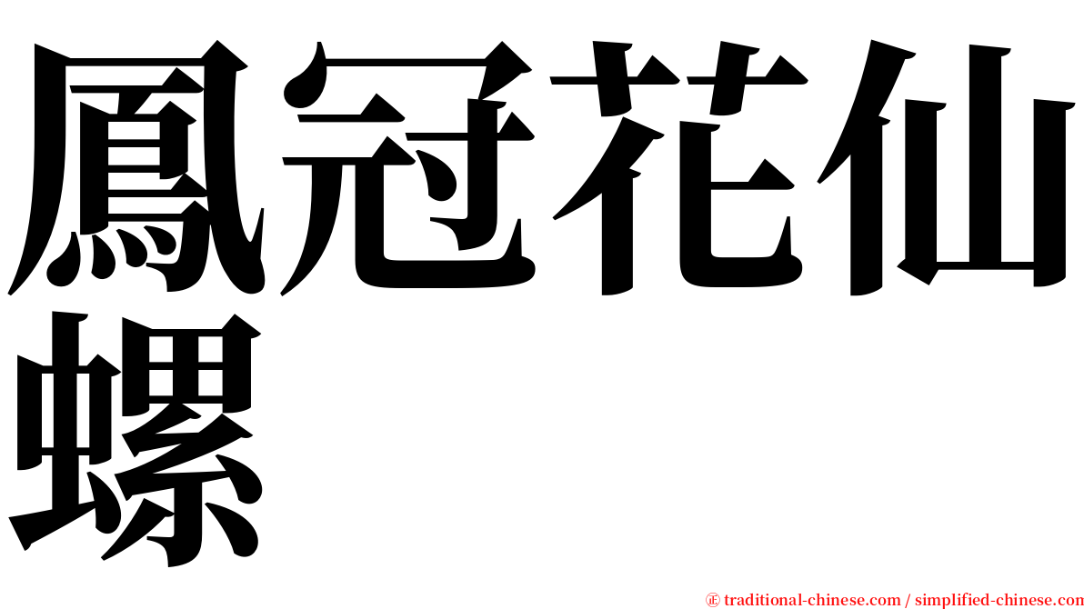 鳳冠花仙螺 serif font