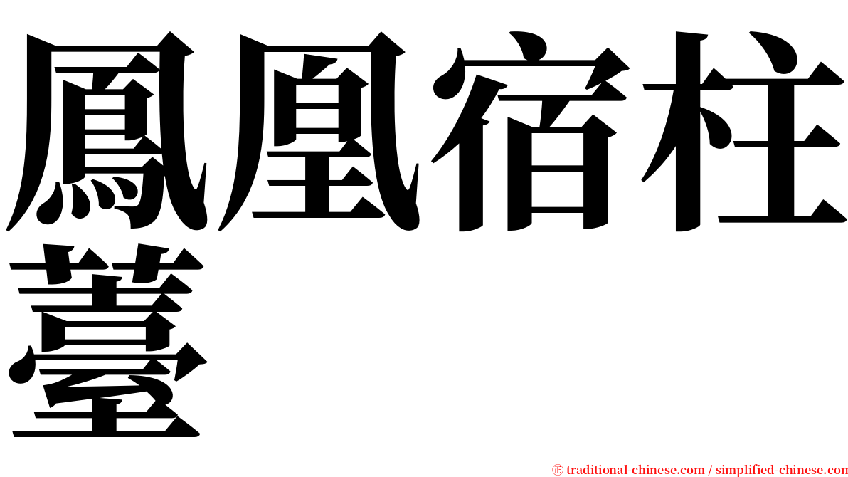 鳳凰宿柱薹 serif font