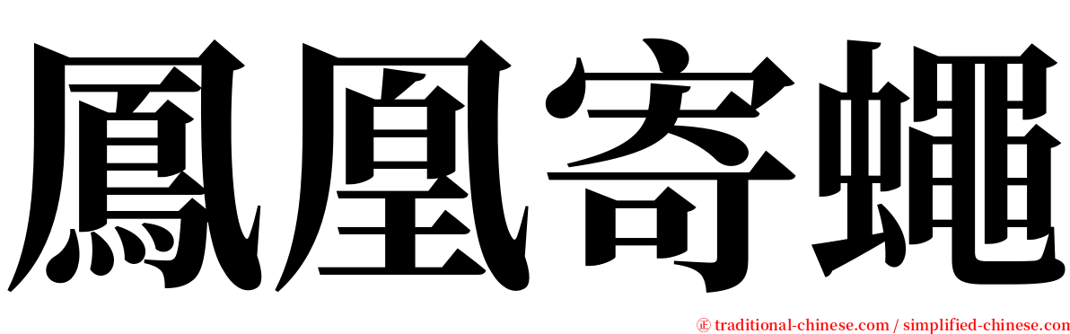 鳳凰寄蠅 serif font