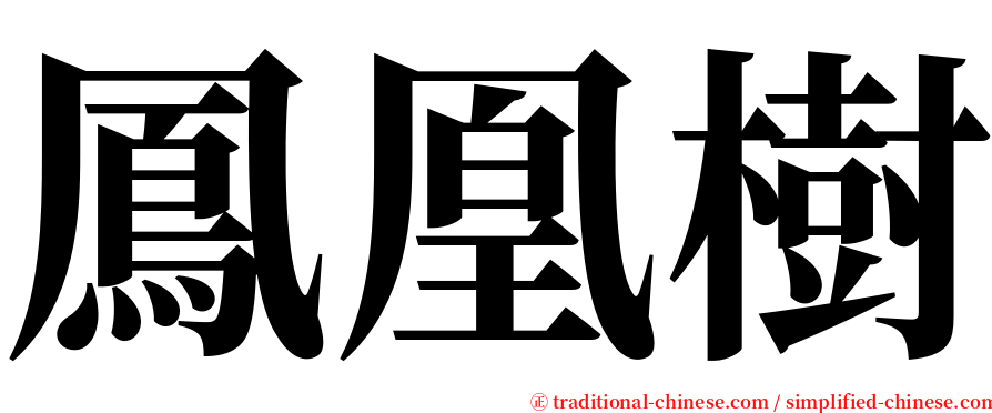 鳳凰樹 serif font
