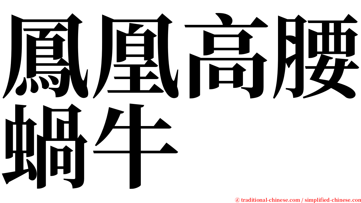 鳳凰高腰蝸牛 serif font