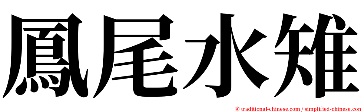 鳳尾水雉 serif font