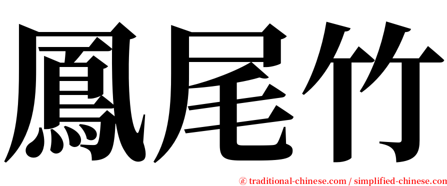 鳳尾竹 serif font