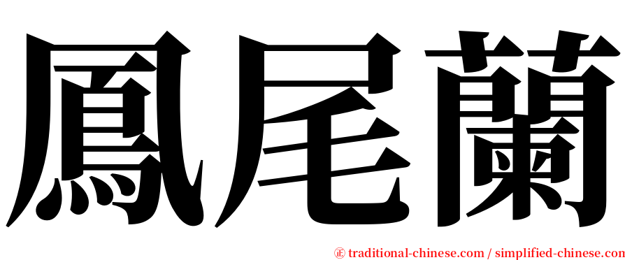 鳳尾蘭 serif font