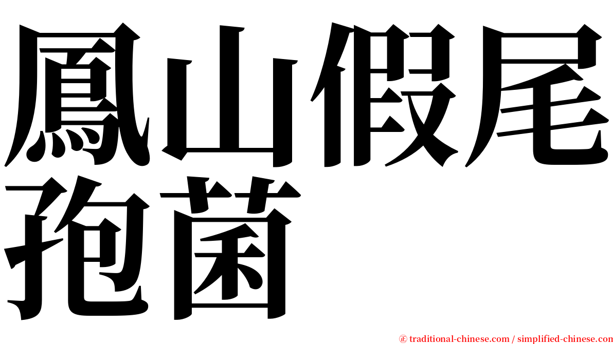 鳳山假尾孢菌 serif font