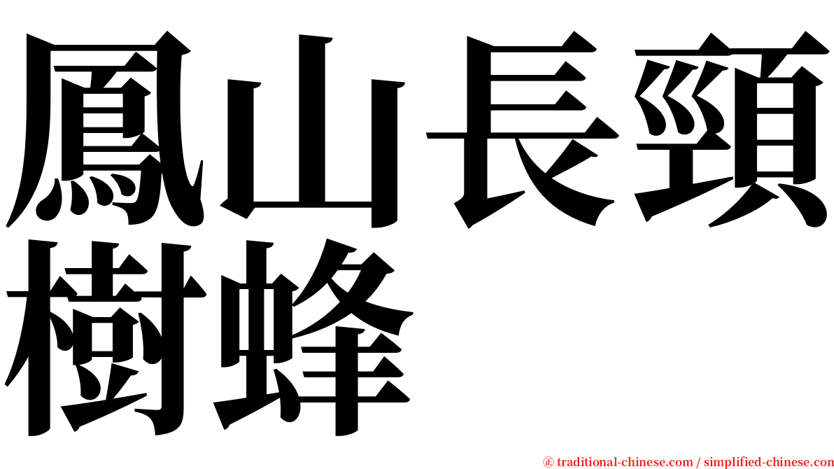 鳳山長頸樹蜂 serif font