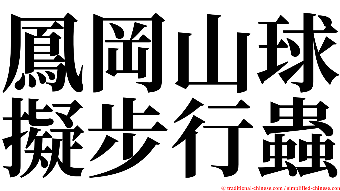 鳳岡山球擬步行蟲 serif font