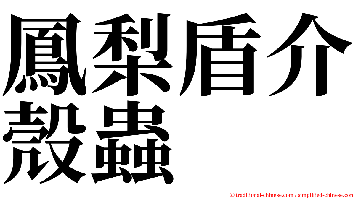 鳳梨盾介殼蟲 serif font