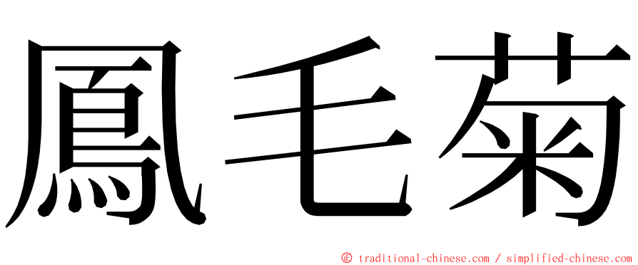 鳳毛菊 ming font